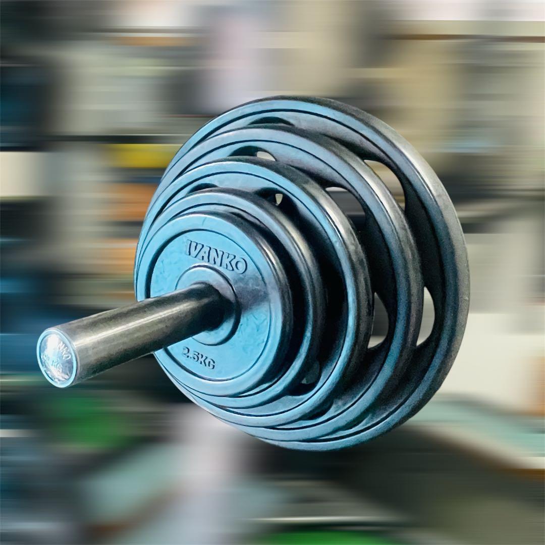 Ivanko イバンコ オリンピックラバープレート105kg➕トライセプスロープ