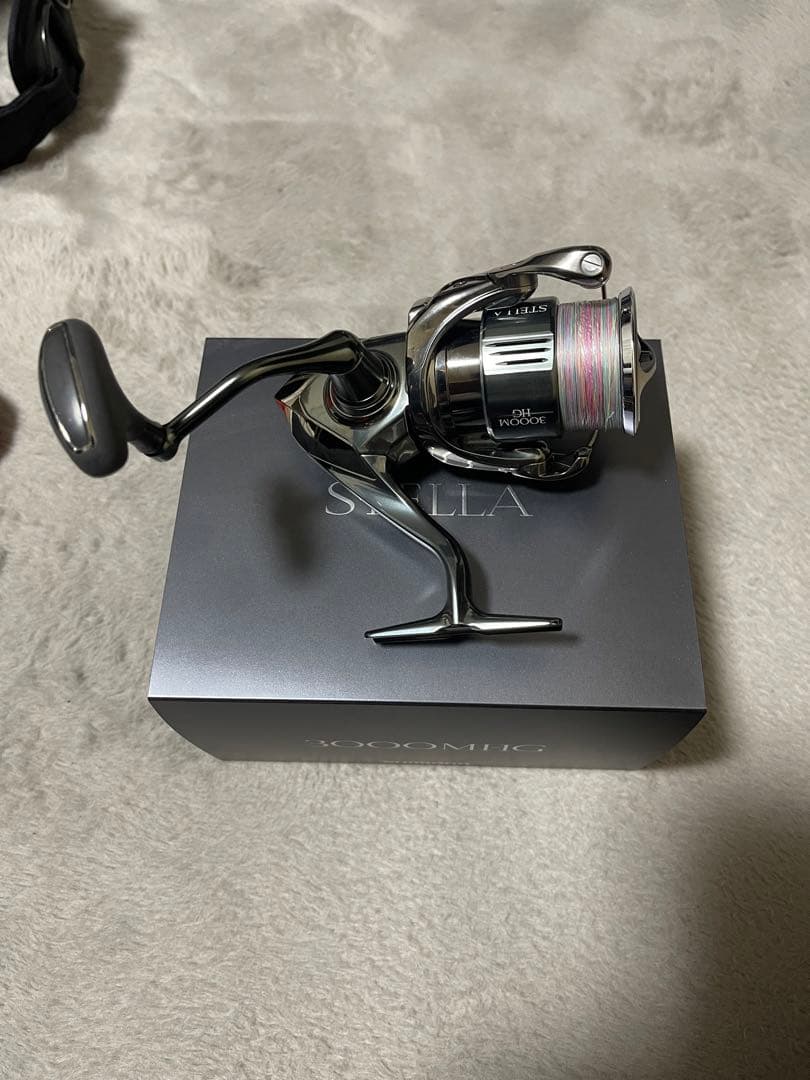 22ステラ3000mhg
