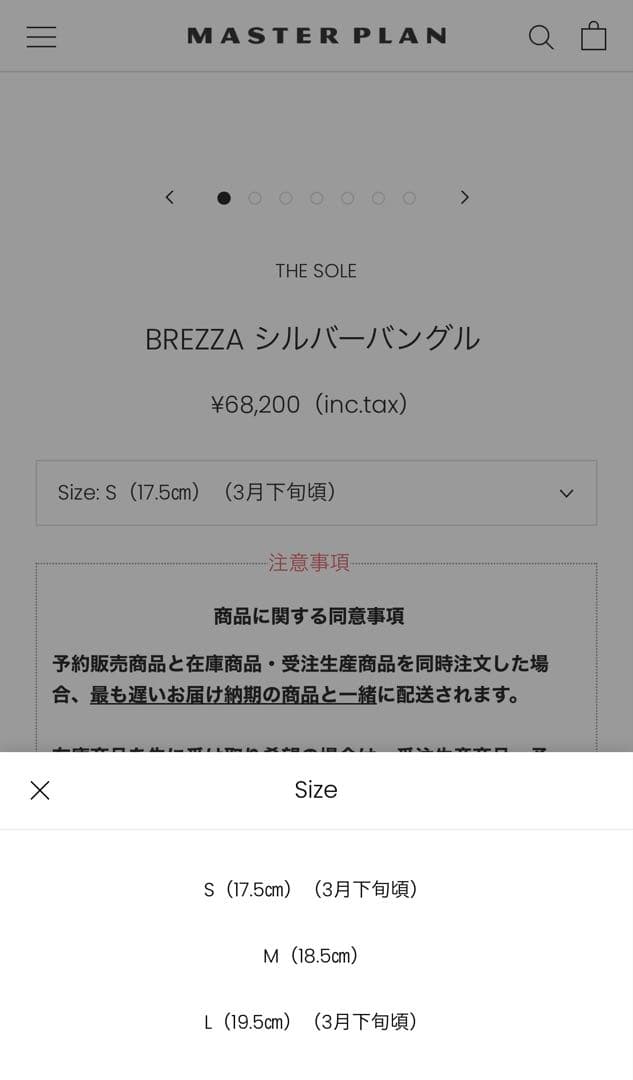 THESOLE シルバーバングル　（マスタープラン）