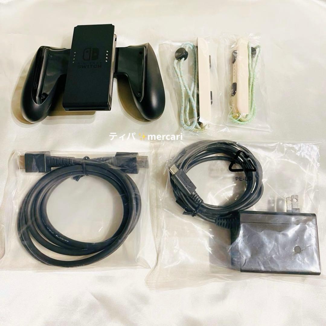 Nintendo Switch あつまれどうぶつの森セット　付属品一式　任天堂