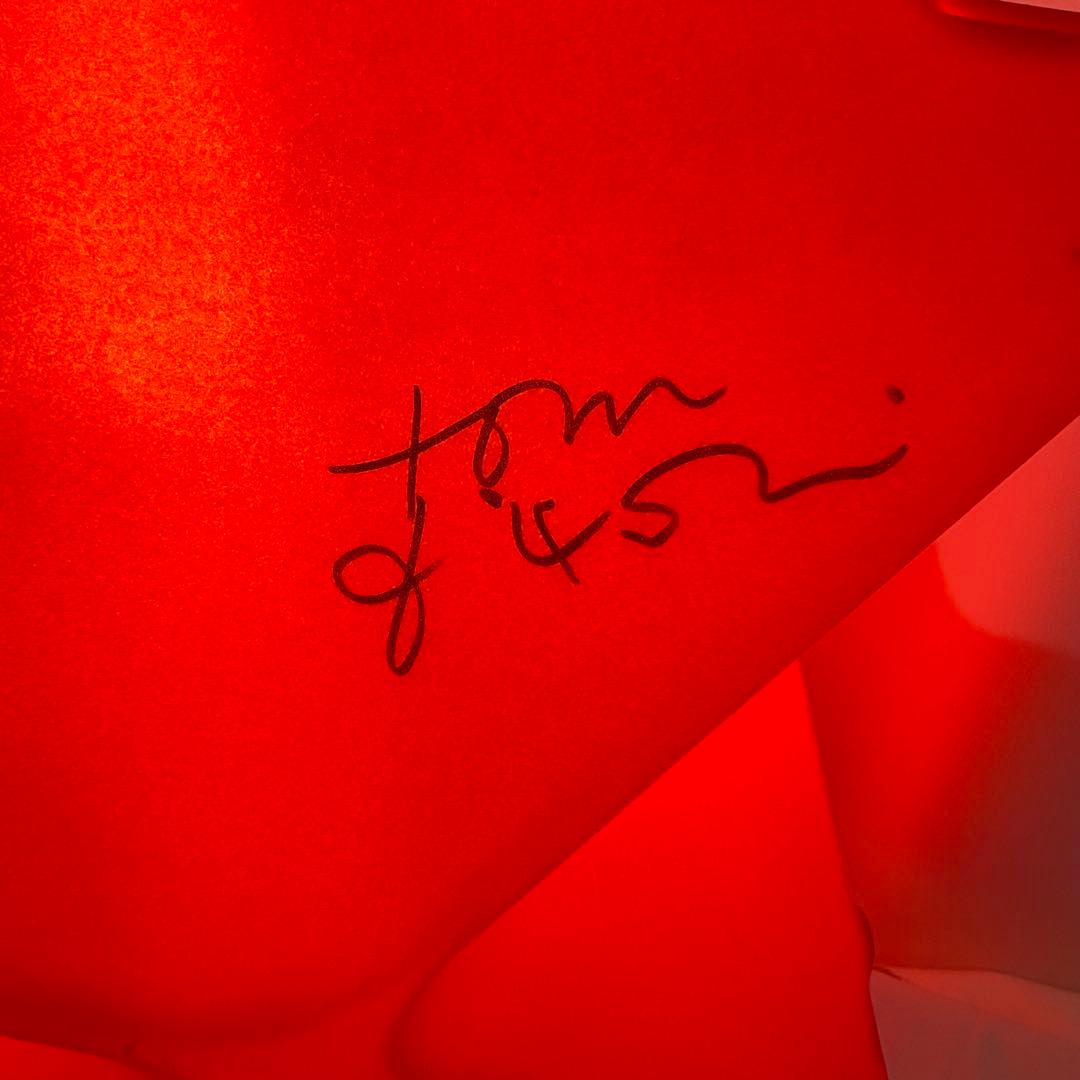 Tom Dixon  「OCTO」 RED 90'vintage