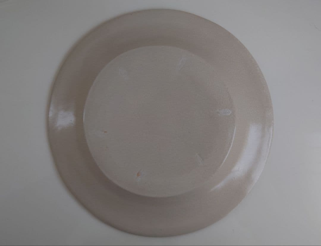 河合竜彦 貫入釉リム大皿 リム皿 器 食器