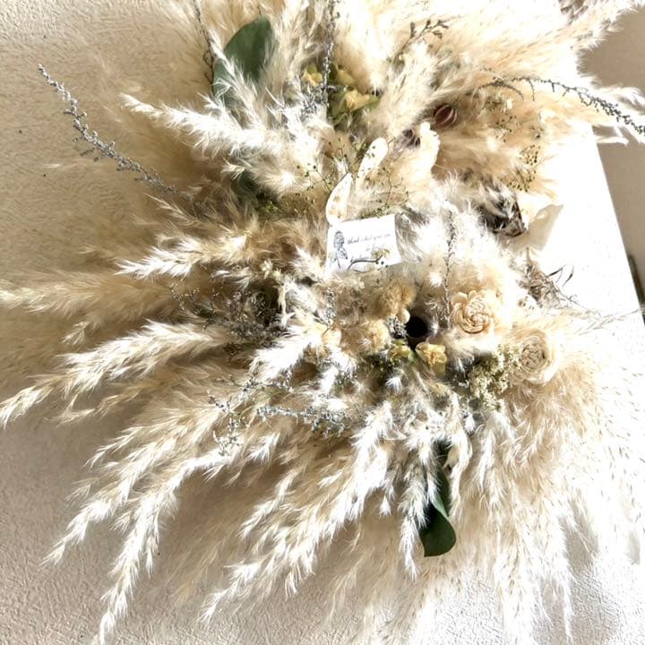 パンパスリース