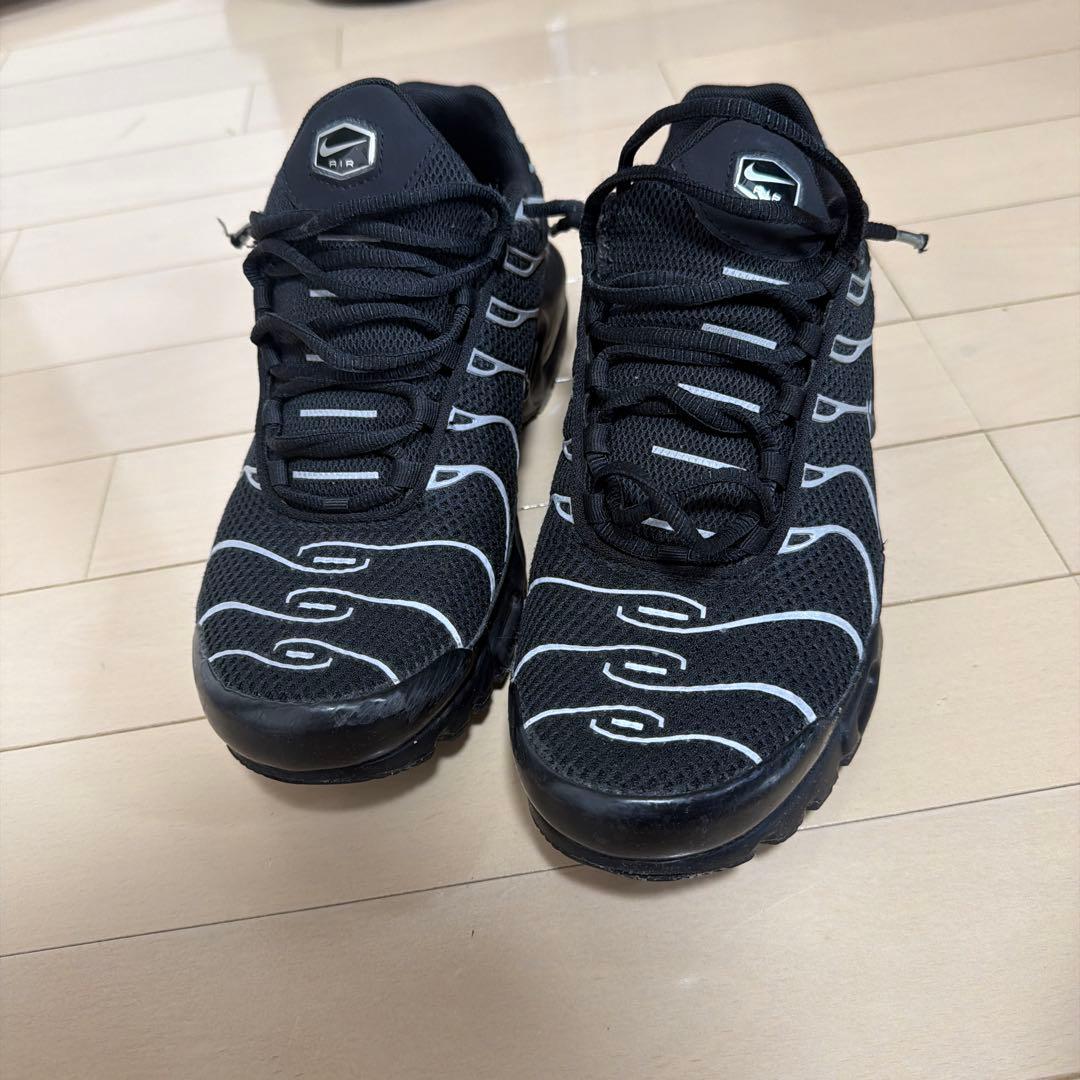 靴 NIKE AIR MAX PLUS PRM LLIC SILVER