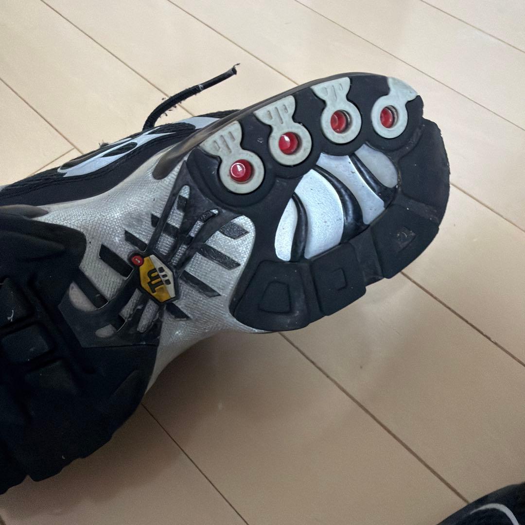 靴 NIKE AIR MAX PLUS PRM LLIC SILVER