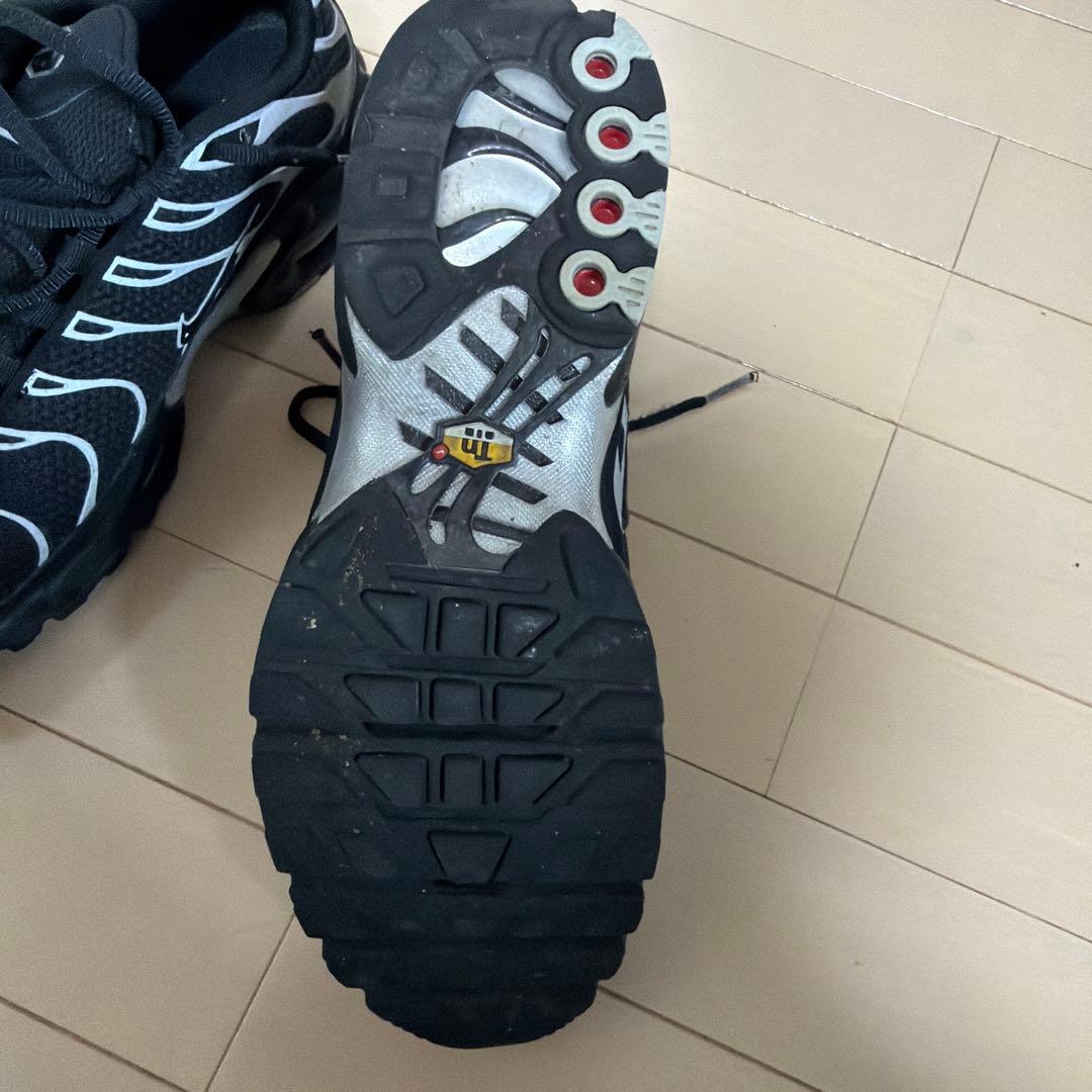 靴 NIKE AIR MAX PLUS PRM LLIC SILVER
