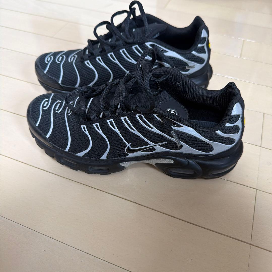 靴 NIKE AIR MAX PLUS PRM LLIC SILVER