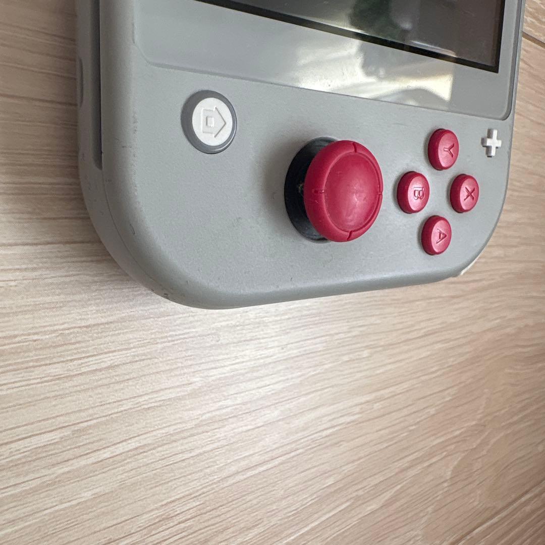 青*り様 Nintendo Switch Lite ポケモン