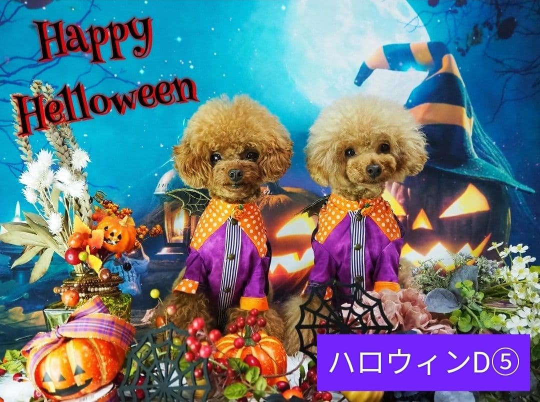 業務用トリミングチョーカー+背景布　ペット撮影用フォトブース　ハロウィン