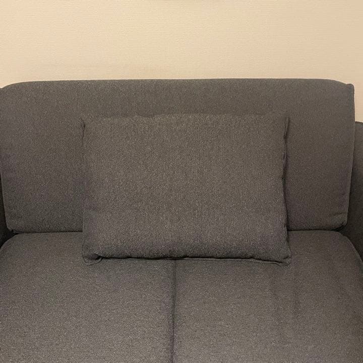 コアラソファーベッドCUSHY 【付属クッションのみ】
