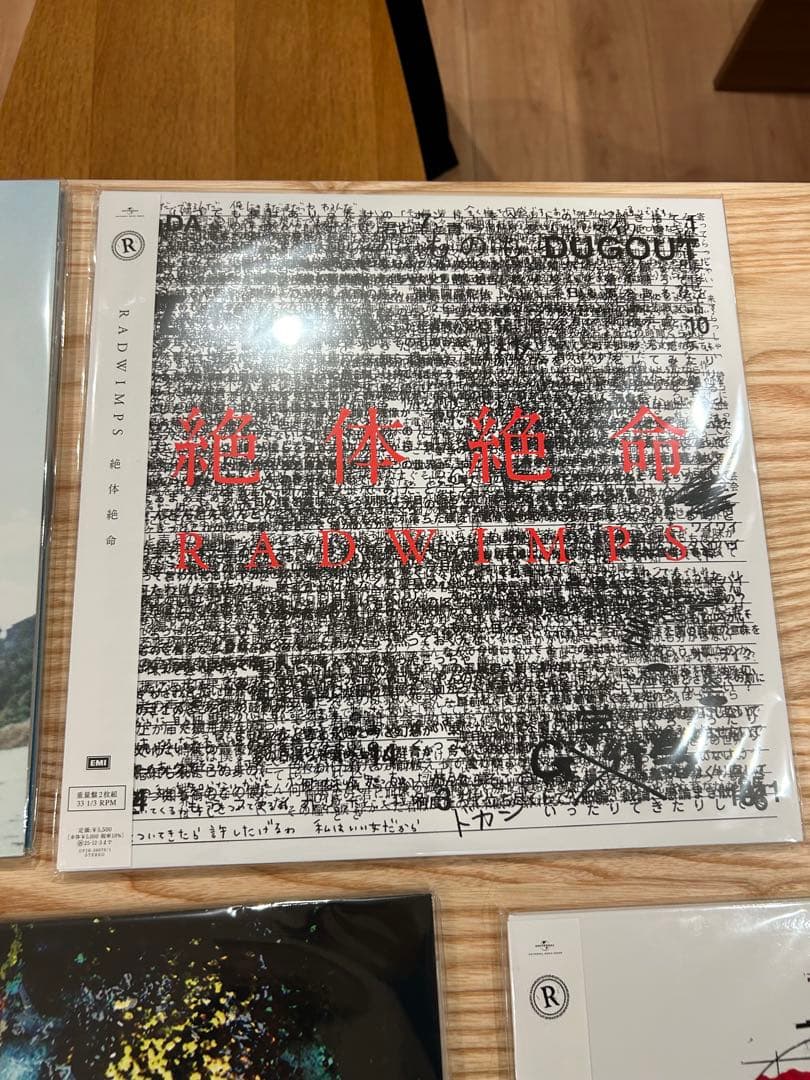 【早い者勝ち】 RADWIMPS アナログレコード 2枚セット