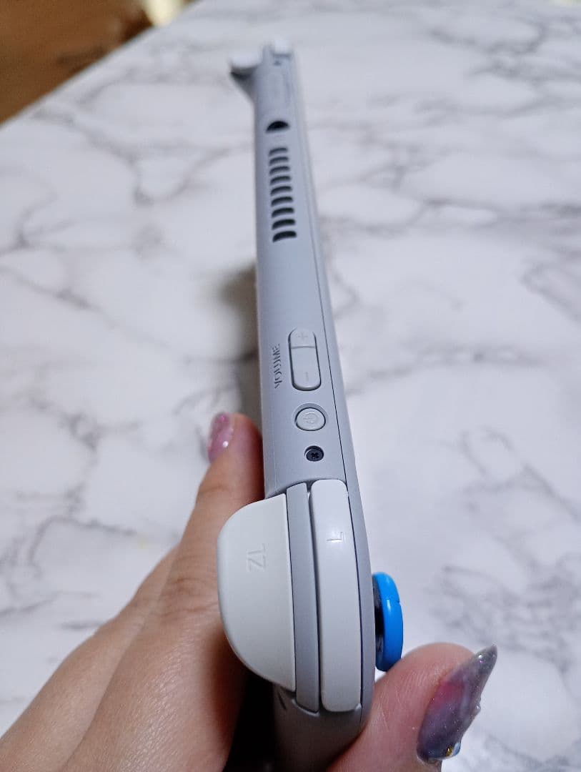 Nintendo Switch Lite グレー ポケモン