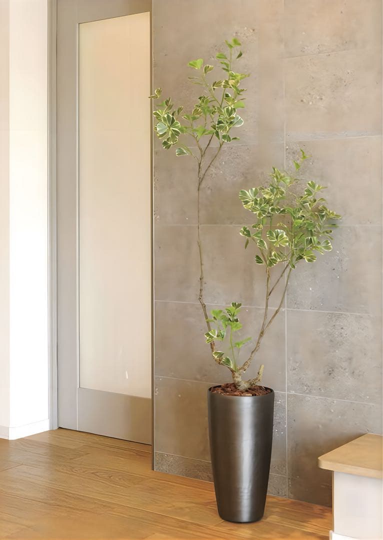光触媒　人工観葉植物　フェイクグリーン　スリムフィカストライアングル