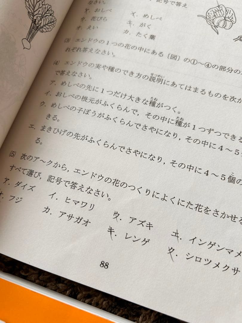 浜学園小4理科 4冊➕確認テスト➕公開学力テスト　2024年発行分