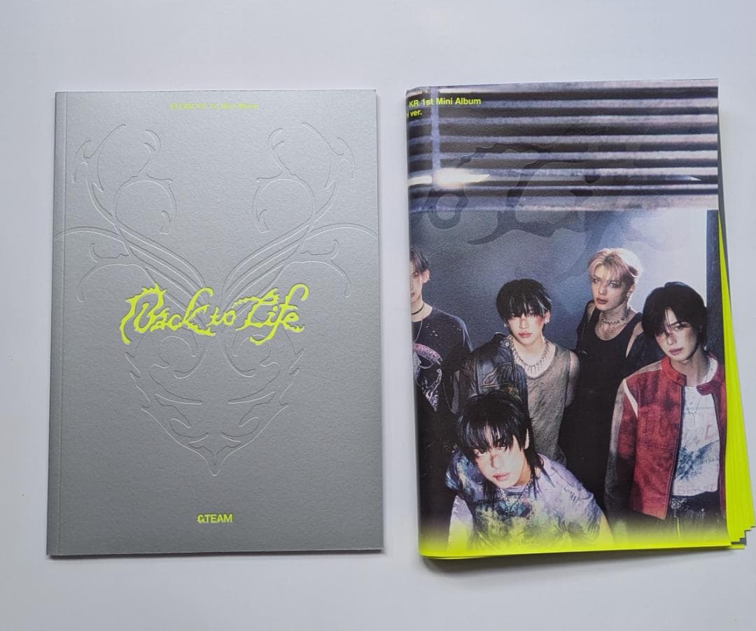 ★非売品◆直筆サインCD◆＆TEAM◆Back to Lifes◆国内発送