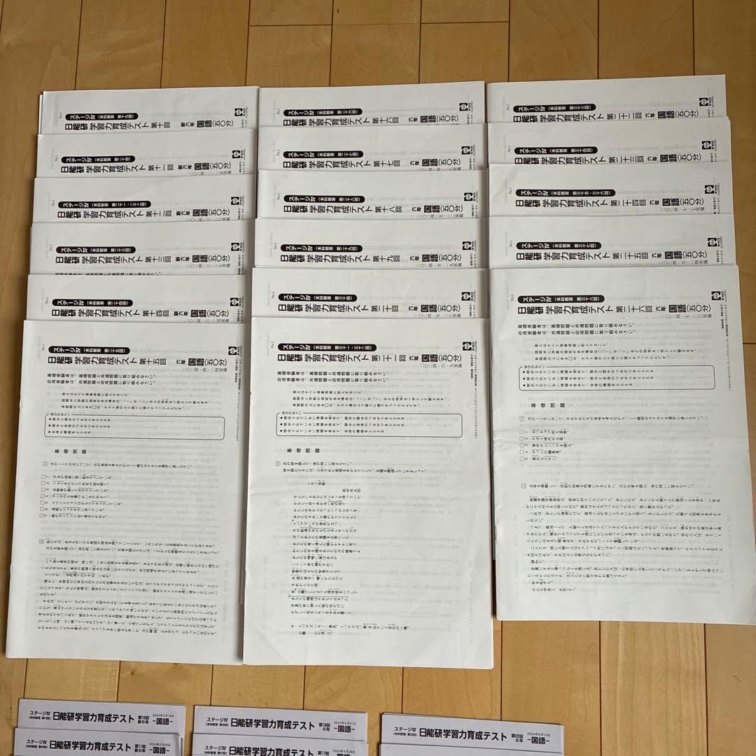 日能研 6年 学習力育成テスト 2024年 前期