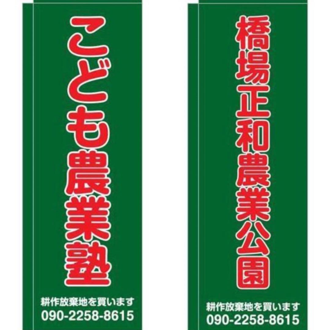 イタリア雑貨・ピエロコレクション【お茶目なピエロ　特大サイズ　サックス】