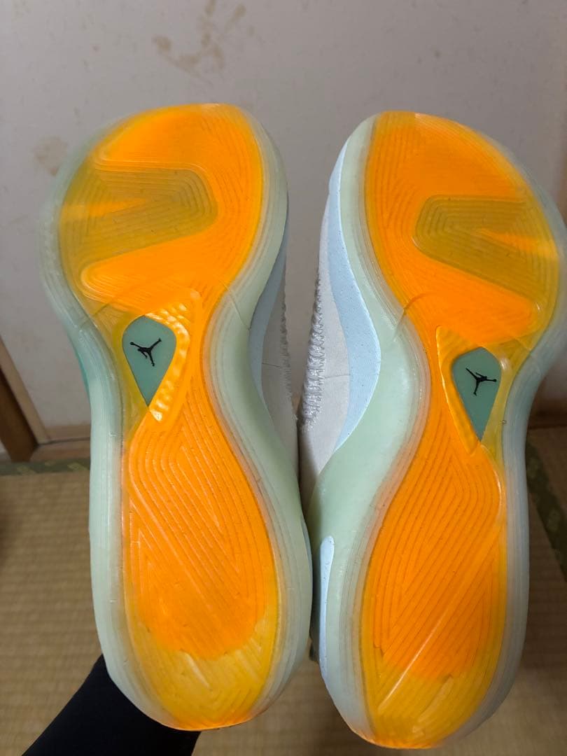 シューズ(男性用) Jordan Luka 1 Next Nature PF