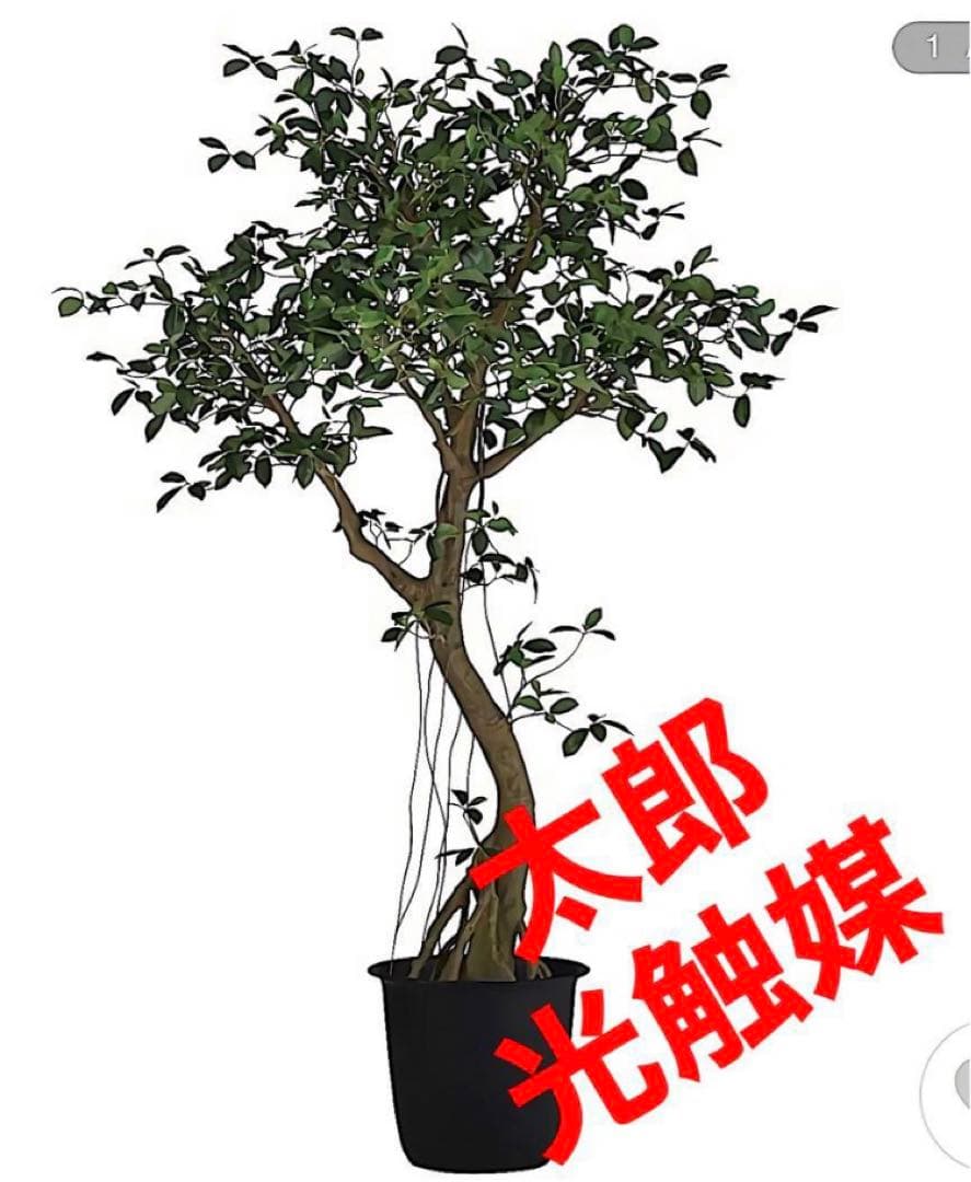 光触媒　人工観葉植物　ウォールグリーン　フェイクグリーン　ガジュマルアゴッド@