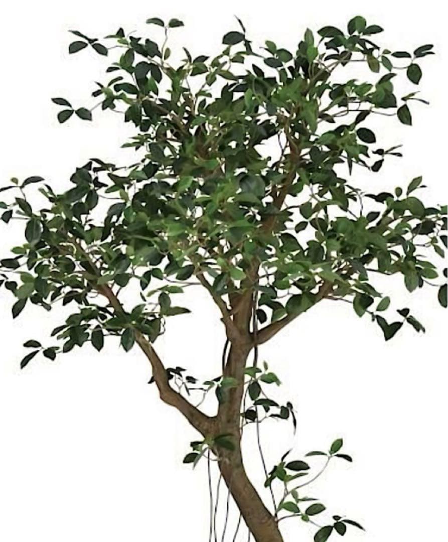 光触媒　人工観葉植物　ウォールグリーン　フェイクグリーン　ガジュマルアゴッド@