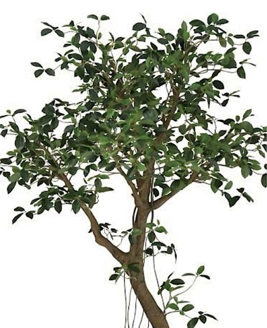光触媒　人工観葉植物　ウォールグリーン　フェイクグリーン　ガジュマルアゴッド@