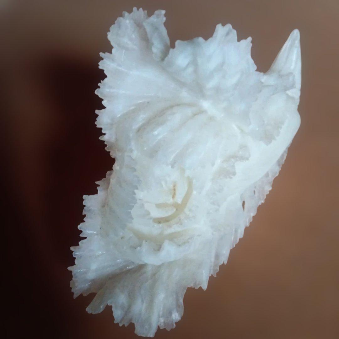 白翡翠の白菜置物