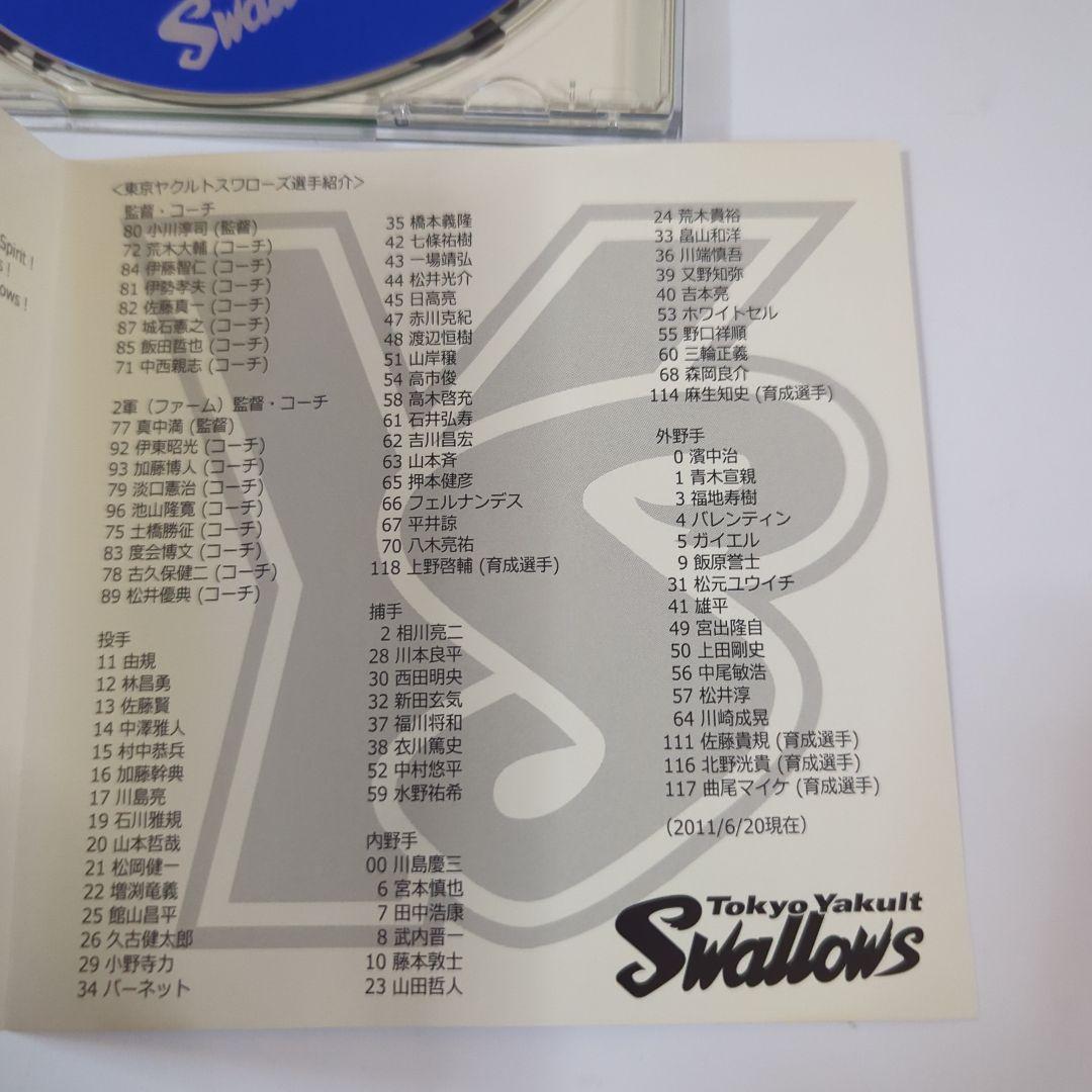林田健司 / We Are The Swallows