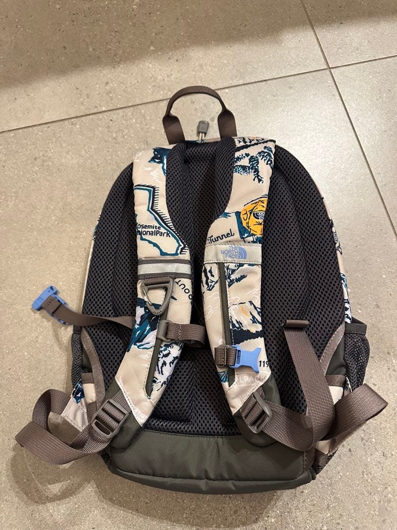 THE NORTH FACE 自然デザイン リュック