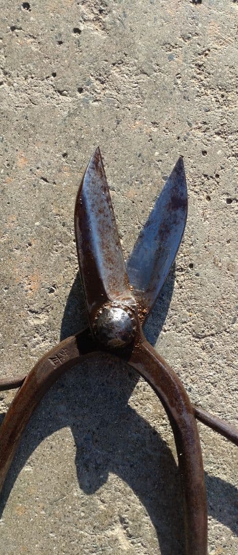 安広　大隅刃物　先代　ハサミ