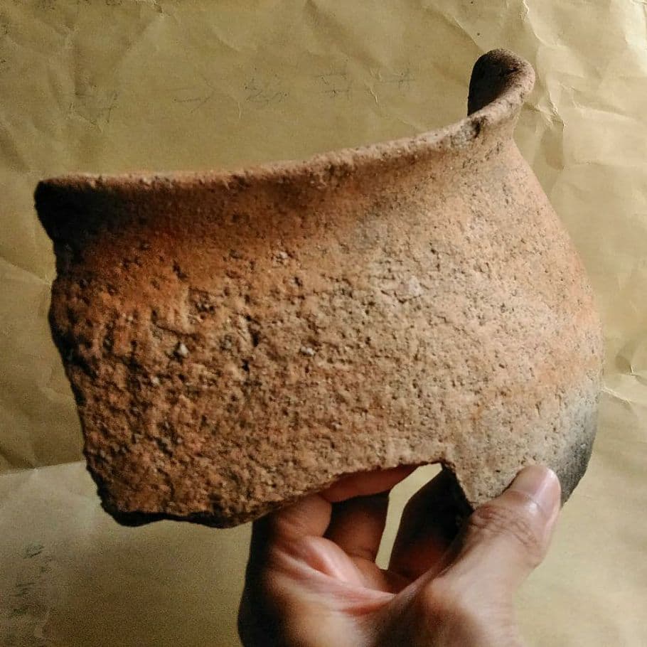 弥生時代　土器片　  MAX 22㎝　特大