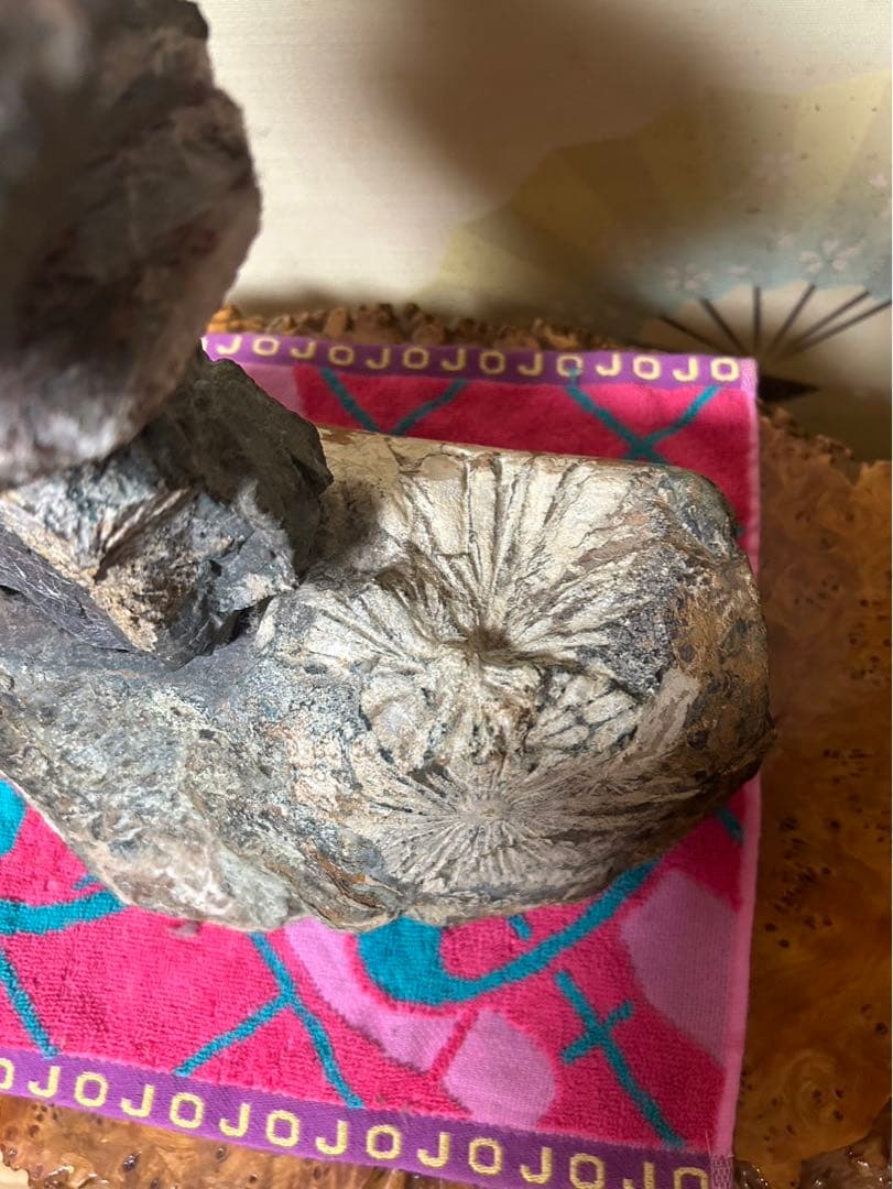 菊花石　灯篭　鑑賞石