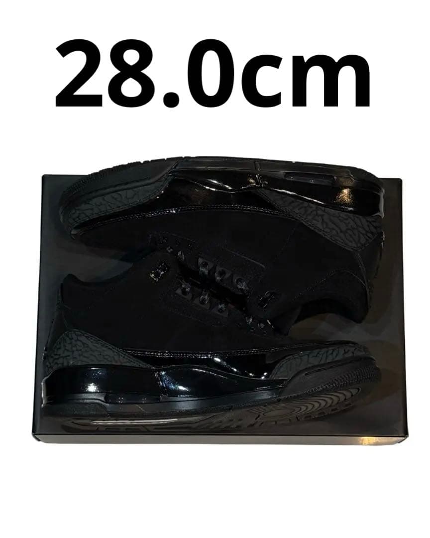 Air Jordan 3 Black Cat 28cm 【国内正規品】黒タグ有