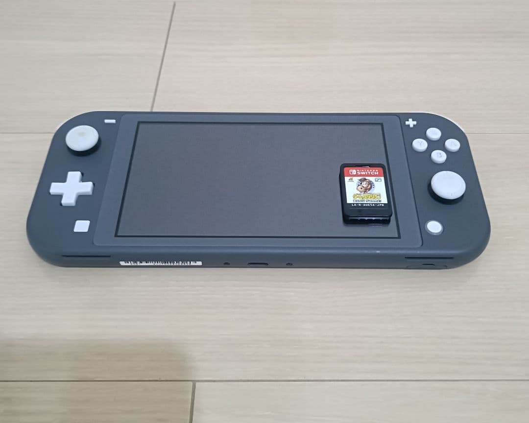 Nintendo Switch Lite グレー 本体 ダイパリメイク付き