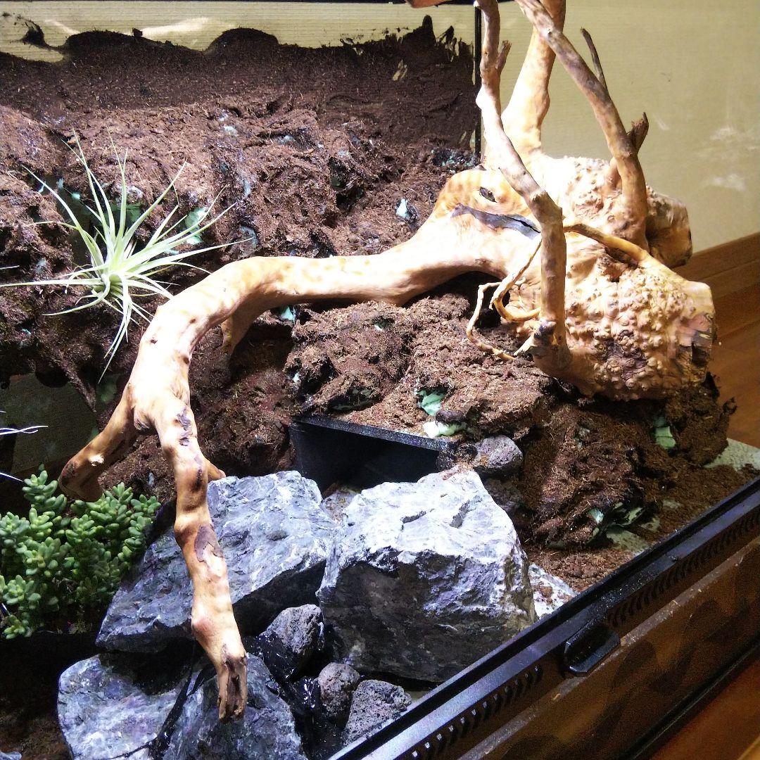 【受注生産】爬虫類飼育ケージ