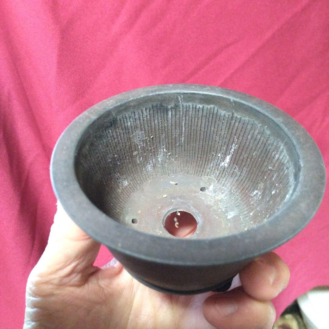 ミニ鉢、盆栽鉢、盆栽小鉢、鉢、植木鉢、山野草鉢、蘭鉢、盆栽
