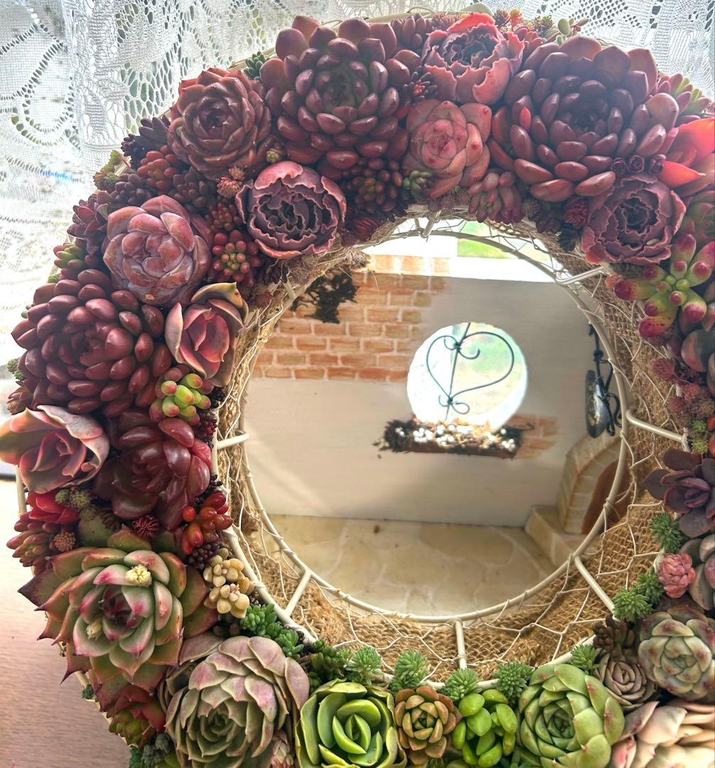 ❤️多肉植物そのまま飾れる❤️グラデーションリース❤️アイアンリース大きめ約35㎝
