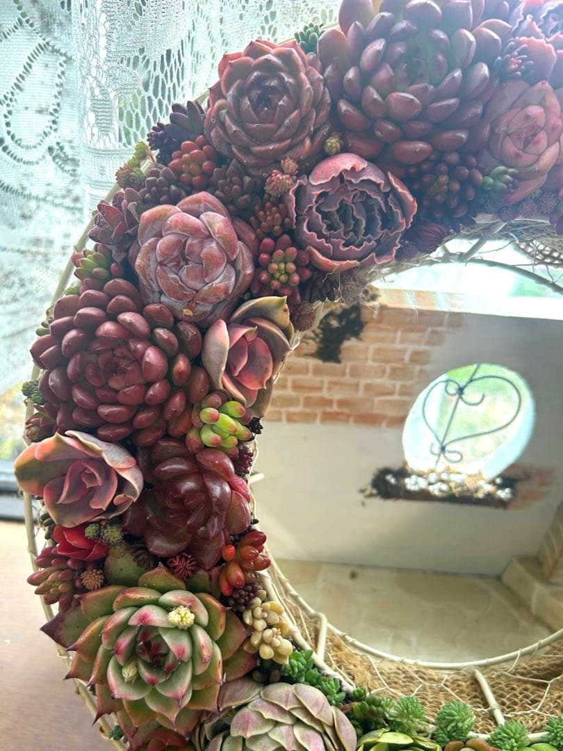 ❤️多肉植物そのまま飾れる❤️グラデーションリース❤️アイアンリース大きめ約35㎝