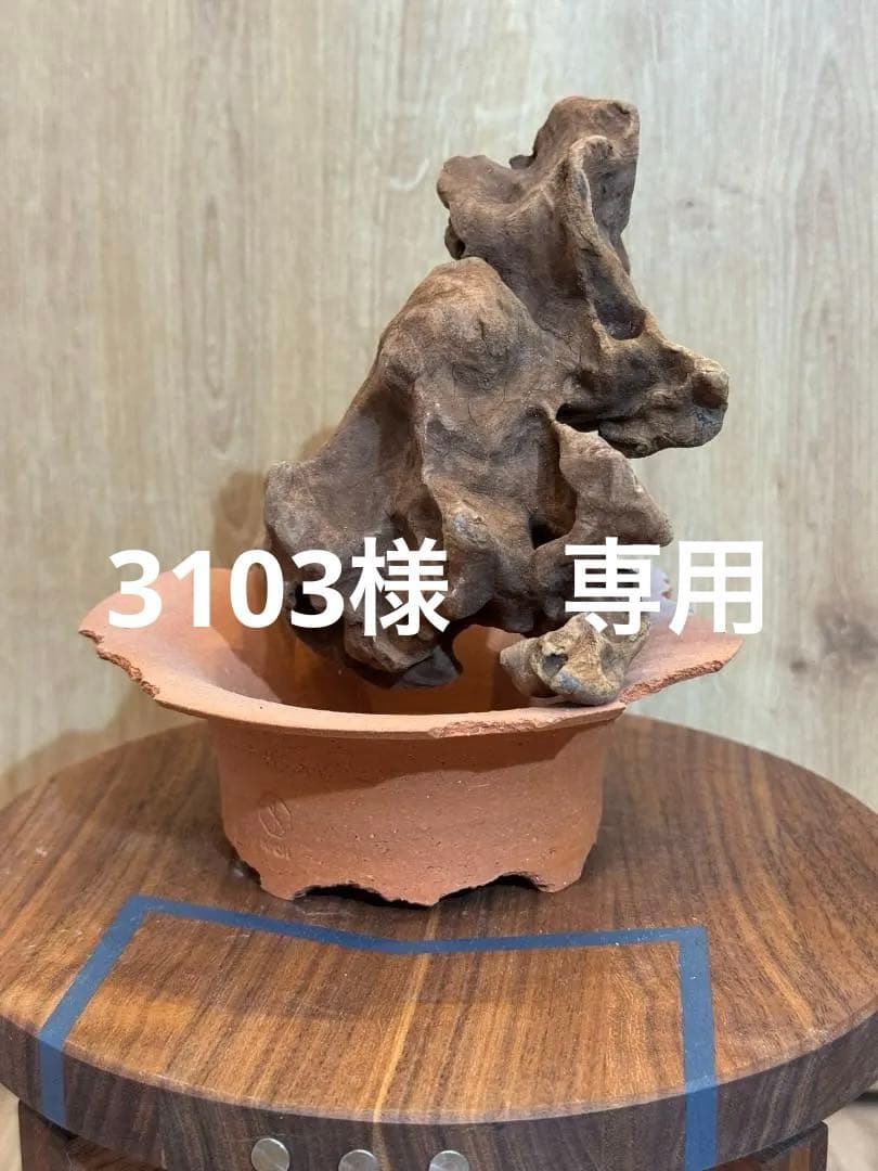 N/OH　ラン鉢　SS