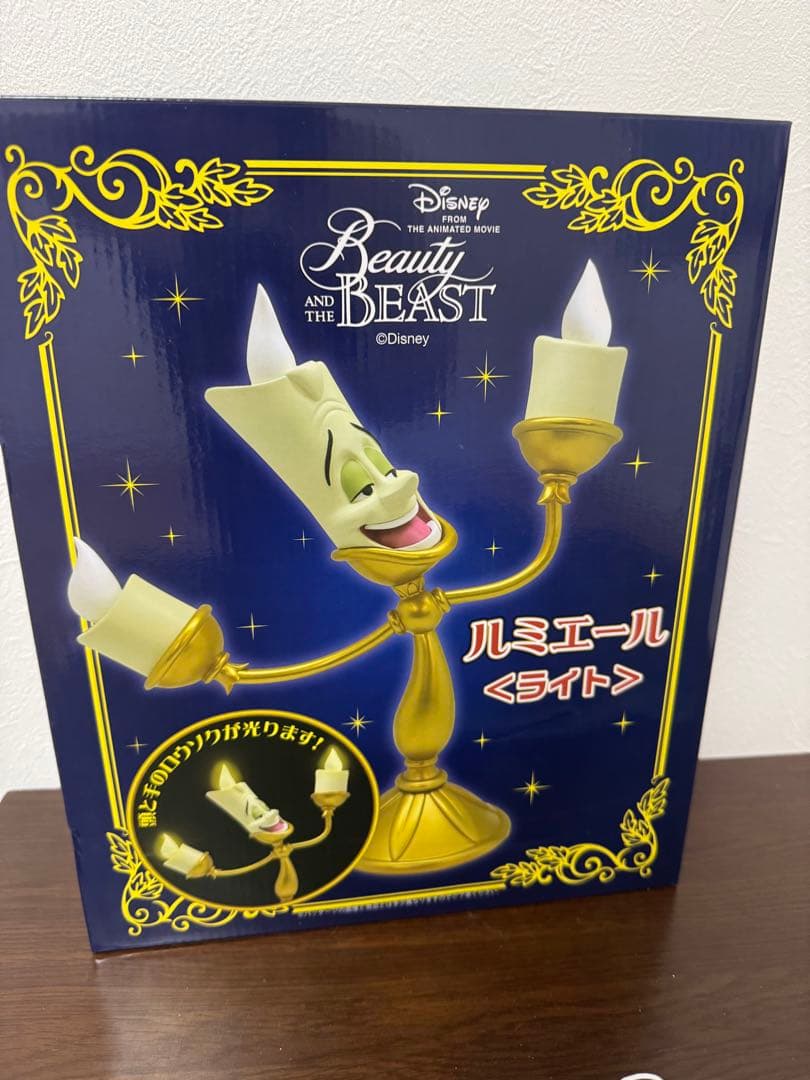 【週末限定値下げ】完全受注生産 ルミエール ルームライト、ポット夫人、チップ