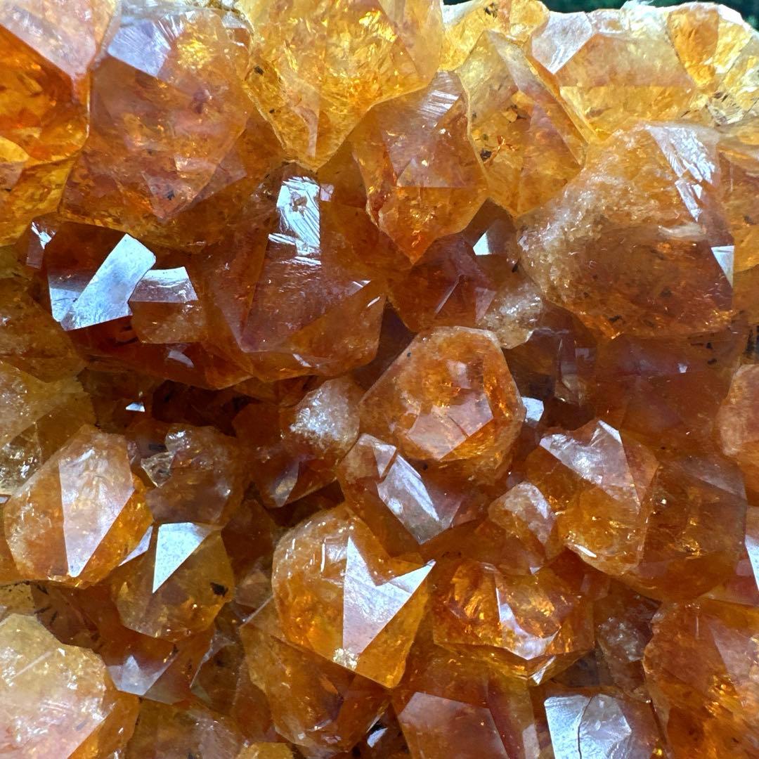 特価　シトリンクラスター　20