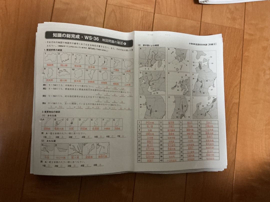 SAPIX 2026年度　中学受験　社会　教材　デイリー　最新　6年