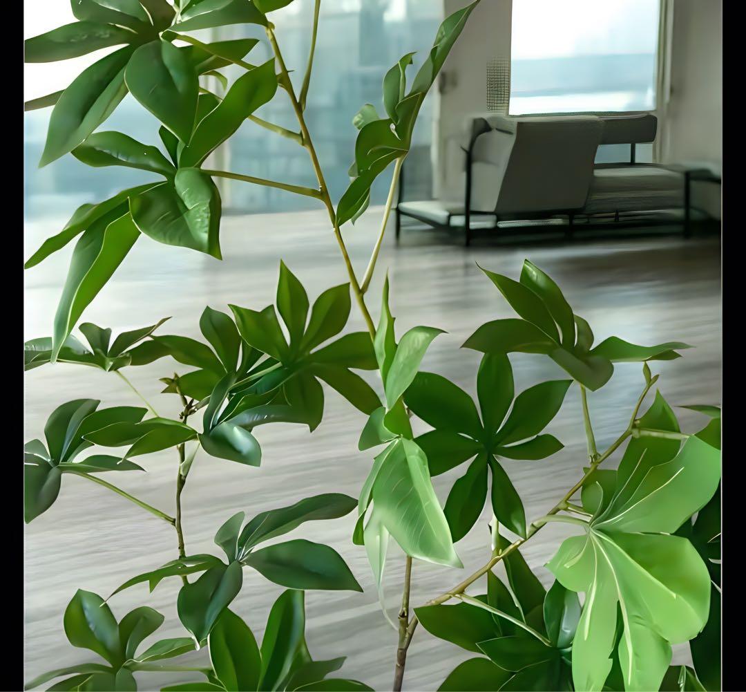 光触媒　人工観葉植物　ウォールグリーン　フェイクグリーン　サバンナバオバブ