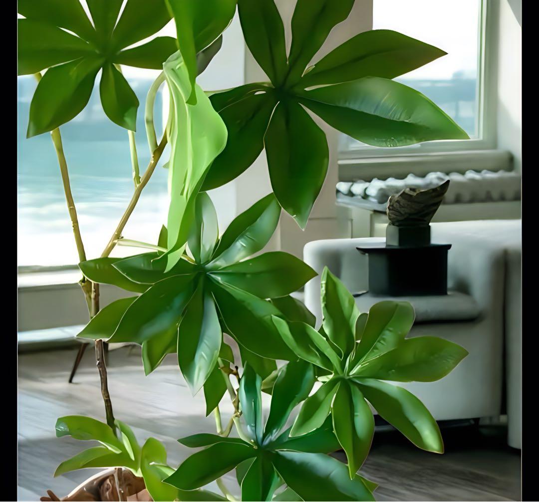 光触媒　人工観葉植物　ウォールグリーン　フェイクグリーン　サバンナバオバブ