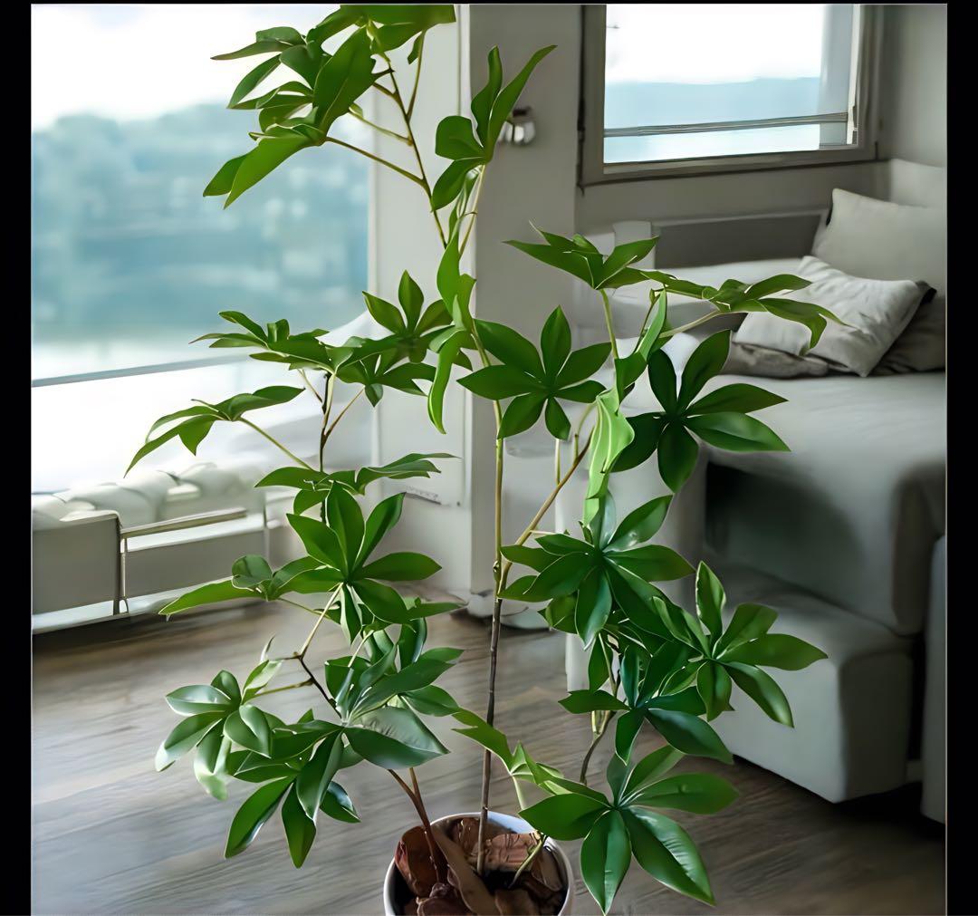 光触媒　人工観葉植物　ウォールグリーン　フェイクグリーン　サバンナバオバブ