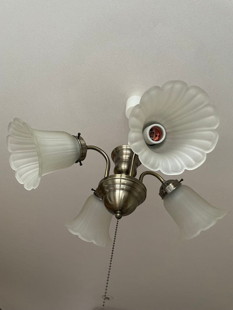 フラワー型シェード 4灯シーリングライト