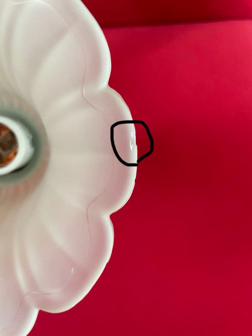 フラワー型シェード 4灯シーリングライト