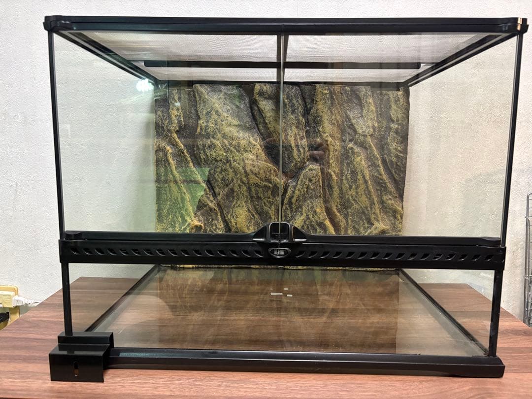 グラステラリウム 6045 GEX 爬虫類　ケージ　60cm 水槽