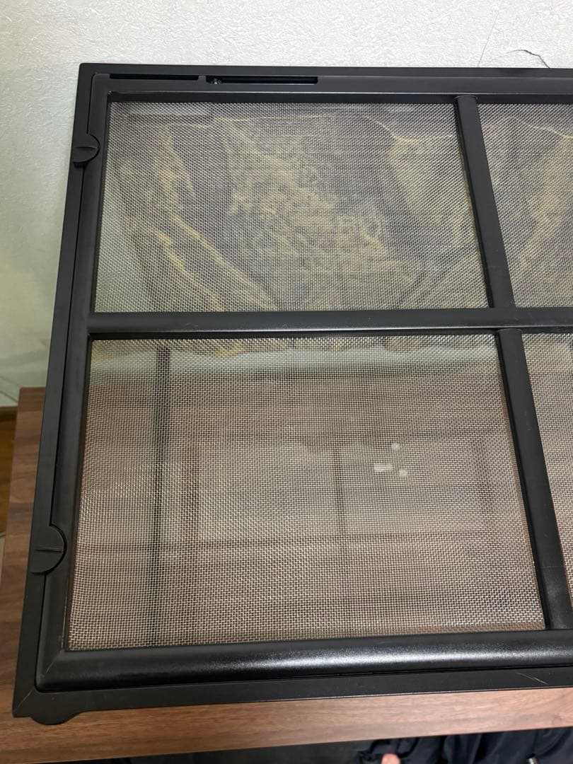 グラステラリウム 6045 GEX 爬虫類　ケージ　60cm 水槽