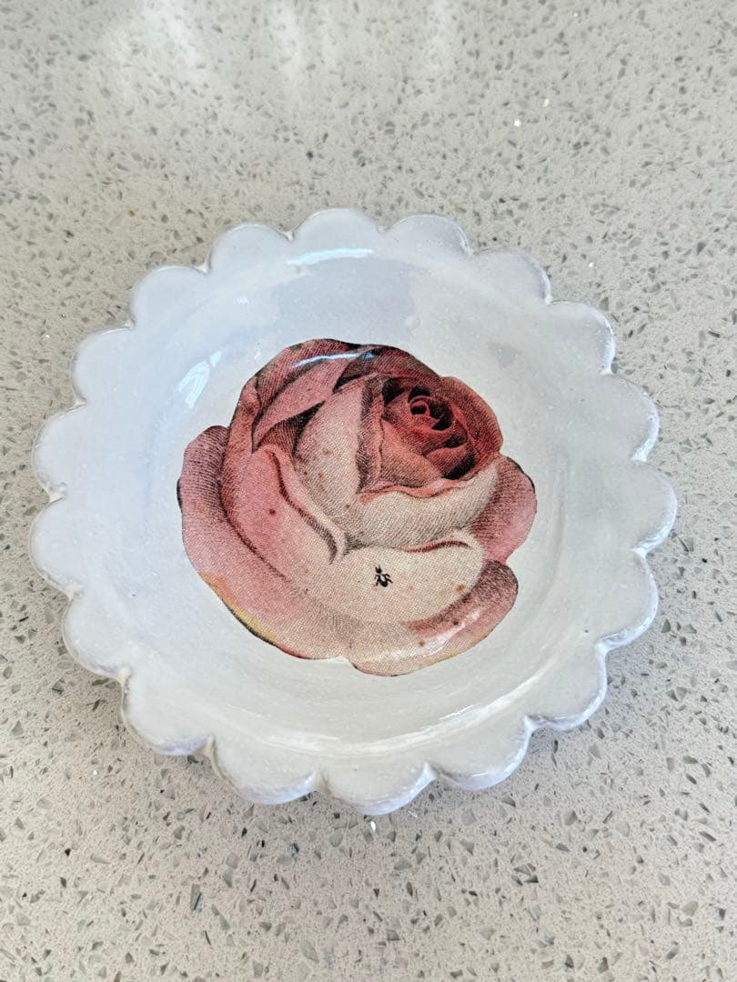John Derian Rose with Insect ソーサー アスティエ