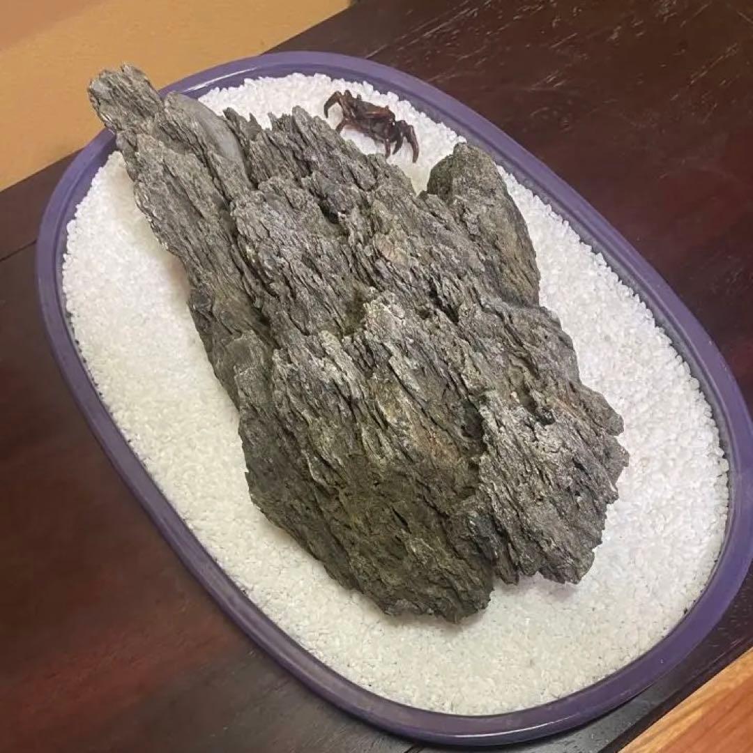 水石 鑑賞石 八溝石 和風インテリア オブジェ アクアリウム 水槽石 置物